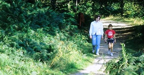 a woman and a child walking down a trail at Broadlea of Robgill Country Cottage Accommodation in Ecclefechan