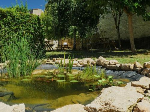 a pond with plants and a picnic table in a park at Aparthotel Adagio Access Poitiers in Poitiers