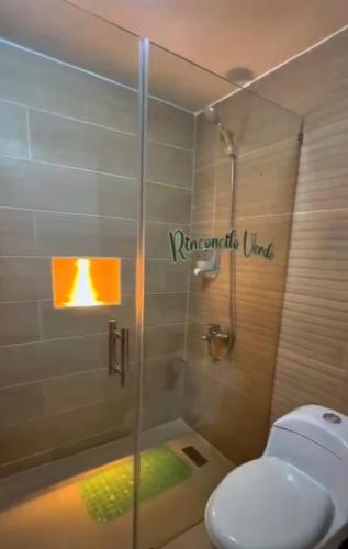 ein Badezimmer mit Glasdusche und WC in der Unterkunft Rinconcito verde in Constanza