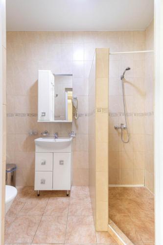 a bathroom with a sink and a shower at Обійми Embrace in Truskavets
