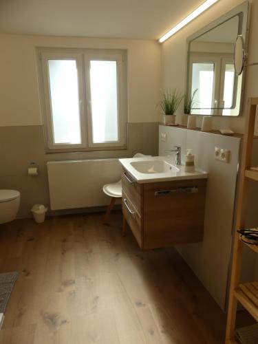 a bathroom with a sink and a mirror and a toilet at Ferienwohnung Sünteltraum in Hameln