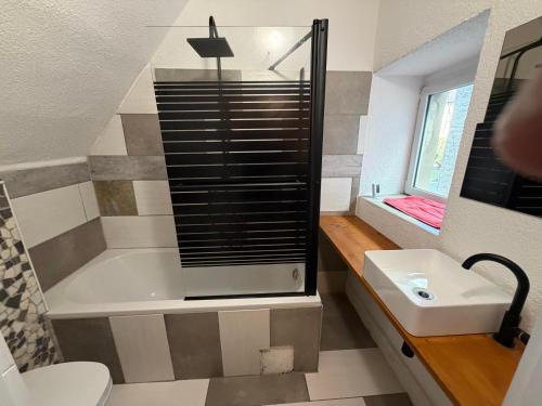 a bathroom with a shower and a sink and a toilet at Himmelswege in Nebra