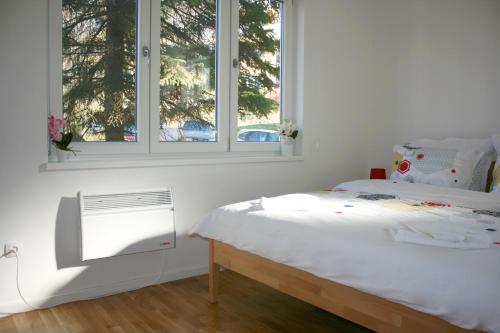 a white bedroom with a bed and two windows at Apartment Lejla in Sarajevo