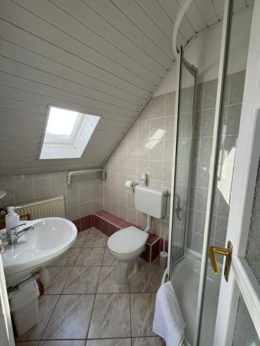 a bathroom with a toilet and a sink and a shower at Herczeg Villa in Balatongyörök