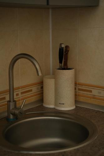 a kitchen counter with a sink with a knife holder at Sea Cloud Hotel in Zatoka