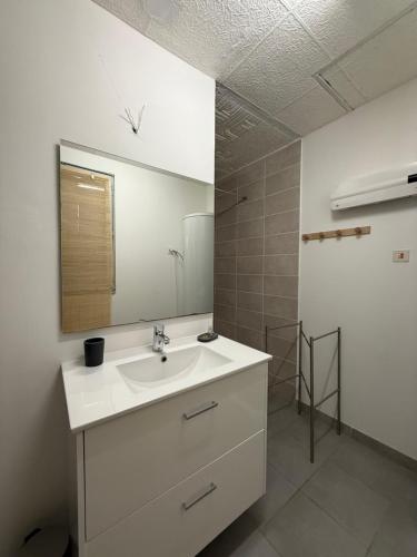 a bathroom with a sink and a mirror at Les Cèdres in Valleraugue