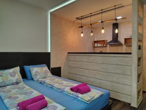 two beds with pink pillows in a room at Apartman Harmony 5 in Banja Koviljača