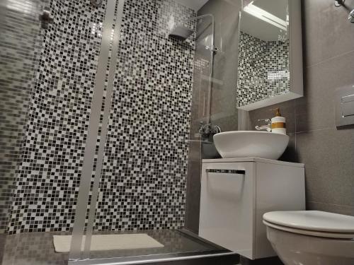 a bathroom with a shower and a toilet and a sink at Apartman Harmony 5 in Banja Koviljača