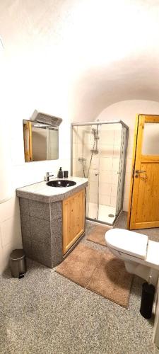 a bathroom with a sink and a shower and a toilet at ALTSTADT-Apartmenthaus BOGENSPERGER in Braunau am Inn