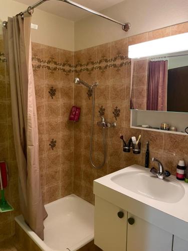 a bathroom with a shower and a sink at Pedecosta in Poschiavo