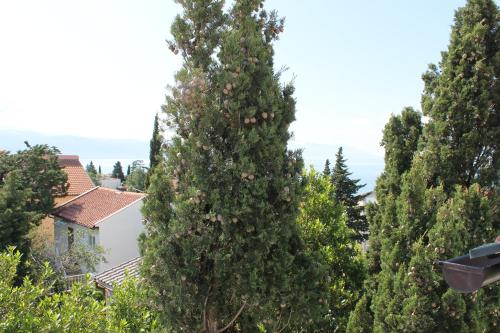 Φυσικό τοπίο κοντά σε αυτό το διαμέρισμα