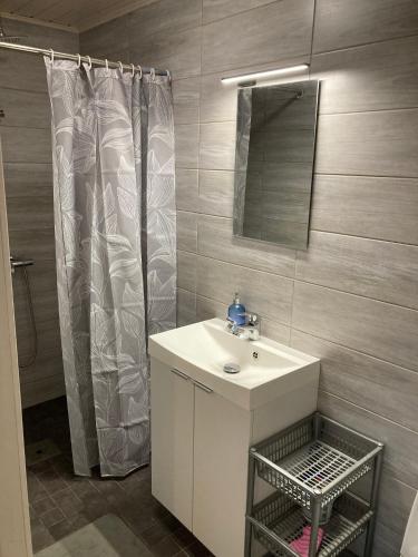 a bathroom with a sink and a shower with a mirror at Aru talu külalistemaja in Iilaste