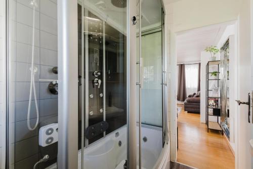 a bathroom with a shower with a glass door at Danube Rooms Abteistrasse - Self Checkin - kostenlos Parken direkt an der Unterkunft - Ideal für Geschäftsreisende und Städtetrips in Passau