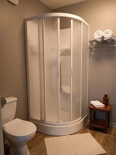 a shower stall in a bathroom with a toilet at Hotel La Planquette in Réquista