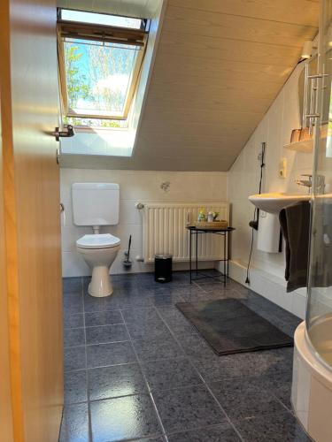 a bathroom with a toilet and a skylight at Wesernest Schulz in Höxter