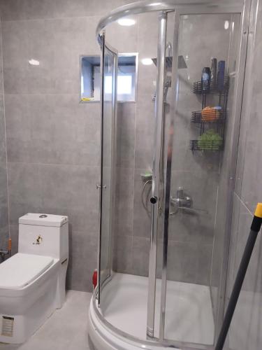 a bathroom with a shower and a toilet at Moy Dom in İsmayıllı