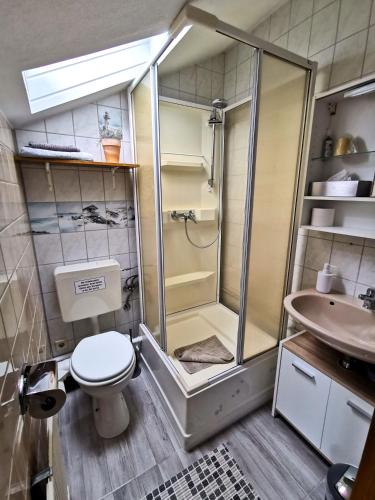 a bathroom with a shower and a toilet and a sink at Pension Stepponat in Arnstadt