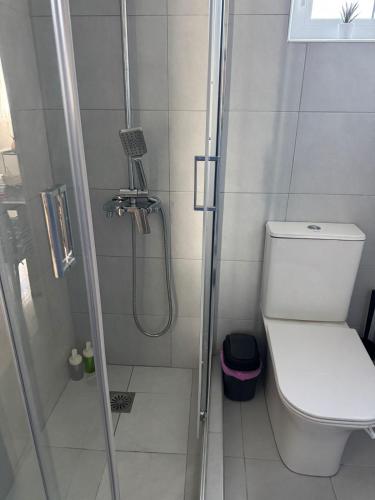 a small bathroom with a shower with a toilet at Bougainvillea Terrace Studio in Sikéa