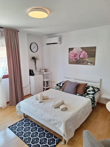 Rooms and Studio Salvi