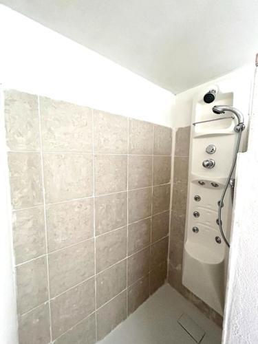 a bathroom with a shower and a sink in it at Camera Ficus in San Teodoro