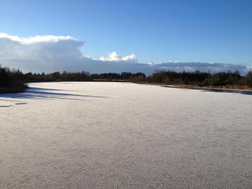 a large frozen lake with trees in the background at Egebjerggaard Bed & Breakfast in Sig