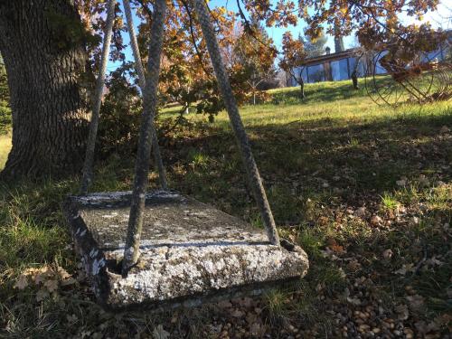a swing in the grass next to a tree at Azienda Agricola Il Querceto in Marsico Vetere