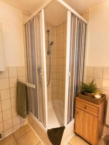 a bathroom with a shower and a bath tub at Ferienhaus Rauschenbachmühle in Arnsfeld