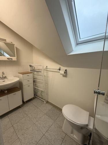 a bathroom with a toilet and a sink and a skylight at chalet du mouflon au bec aigle in Le Lioran