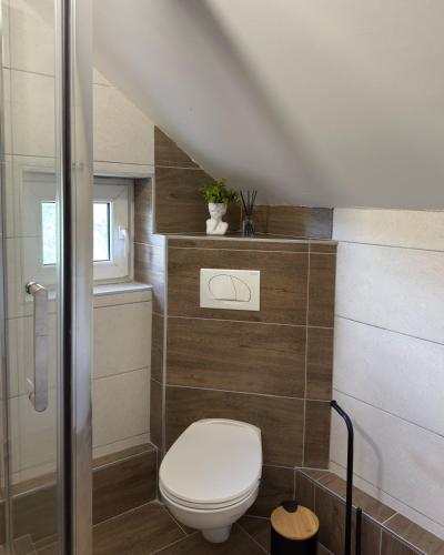 a small bathroom with a toilet and a staircase at Apartmani Tara House in Milekići