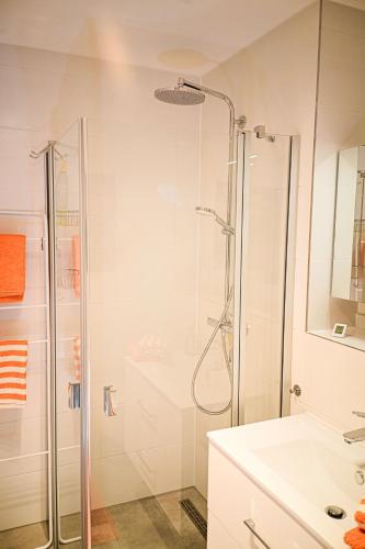 a bathroom with a shower and a sink at Mainresidenz Wertheim in Wertheim