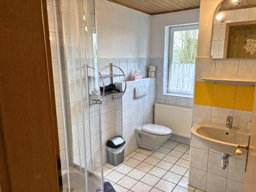 a bathroom with a toilet and a sink at Möllers Morgen in Lentföhrden