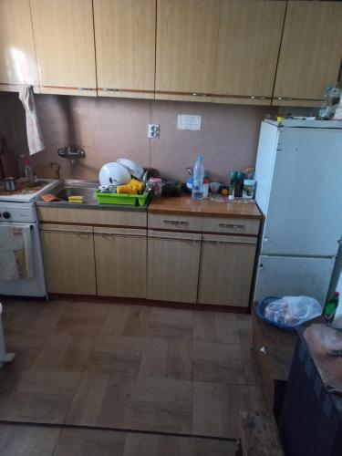 a kitchen with a sink and a refrigerator at Vasin Šib in Crna Bara