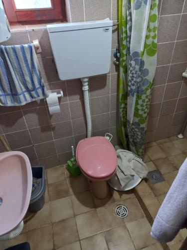 a bathroom with a pink toilet and a sink at Vasin Šib in Crna Bara