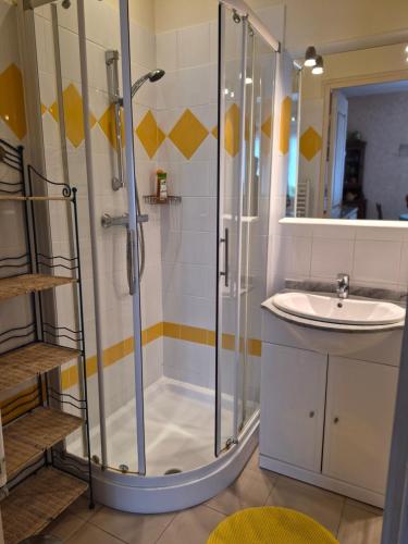 a bathroom with a shower and a sink at Pré en Bulles in Trépail