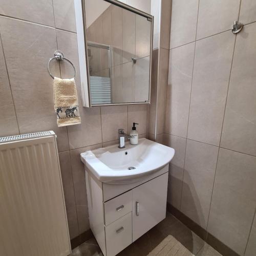 a bathroom with a white sink and a mirror at Rizes in Pramanta