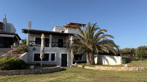 a house with a palm tree in front of it at Villa Di Mare in Mesimvría