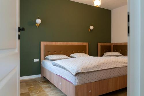 ein Schlafzimmer mit einem großen Bett und grünen Wänden in der Unterkunft Twin2 in Văliug