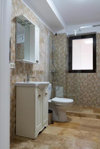 ein Badezimmer mit Waschbecken, Toilette und Fenster in der Unterkunft Twin2 in Văliug