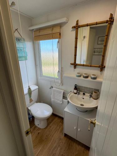 a bathroom with a sink and a toilet and a mirror at Fraunie's Beach House Anderby Creek - Dog friendly in Anderby