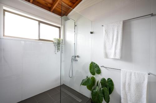 a bathroom with a shower and a potted plant at Drifters @ Callala Beach in Callala Beach