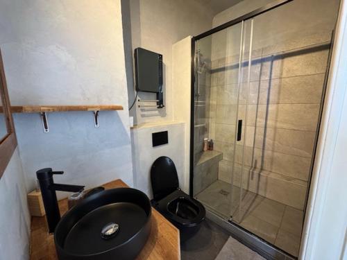 a bathroom with a black toilet and a shower at Le Beaupré face au lac Leman in Évian-les-Bains