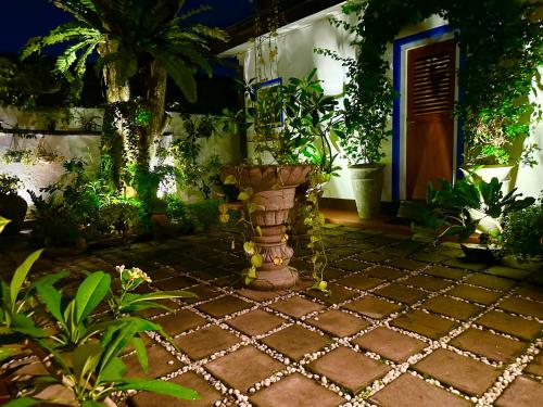 a patio with a bunch of plants in front of a house at Solitude in Sri Jayewardenepura Kotte