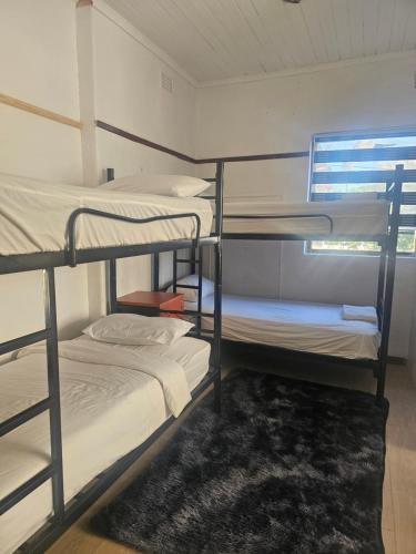 a room with three bunk beds with a rug and a window at 1krom str bellville boston in Bellville
