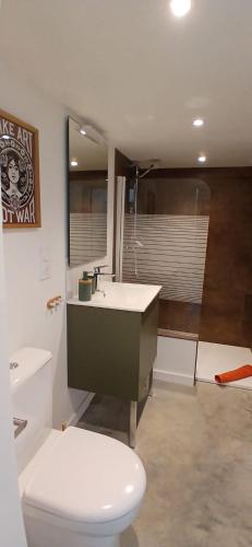 a bathroom with a toilet and a sink and a shower at Charmant T2 - 4 couchages à 15mn de la mer in Merlevenez