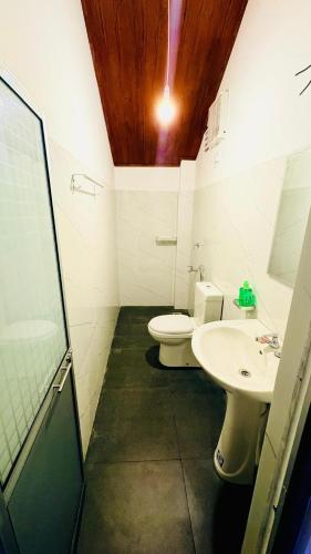 a bathroom with a toilet and a sink at Edinburgh Cottage's in Nanu Oya
