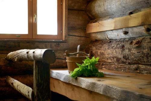 a wooden room with a wooden table with a plant on it at Hawkhill Resort in Tervalampi
