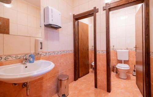 a bathroom with a sink and a toilet at Villa Ruzin Dvor in Donji Vinjani