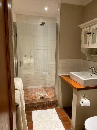 a bathroom with a shower and a sink at Classic Home in Franschhoek in Franschhoek