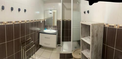 a bathroom with a sink and a mirror at Résidence Louis in Saint-Denis