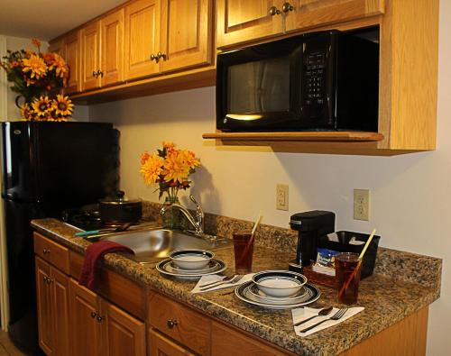 a kitchen counter with a sink and a microwave at Canyon Motel in Wellsboro